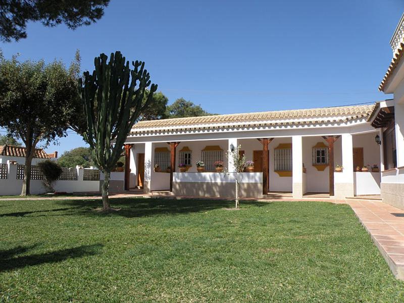 Hostal Las Acacias Los Canos De Meca Eksteriør bilde