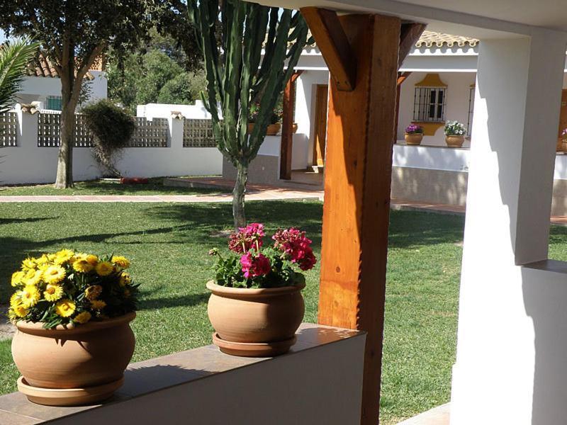 Hostal Las Acacias Los Canos De Meca Eksteriør bilde